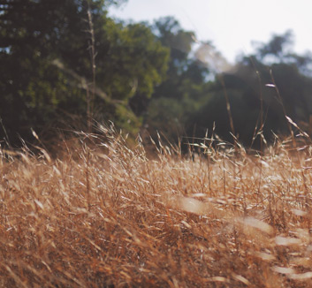 维罗纳门将连连扑救，延续不败纪录